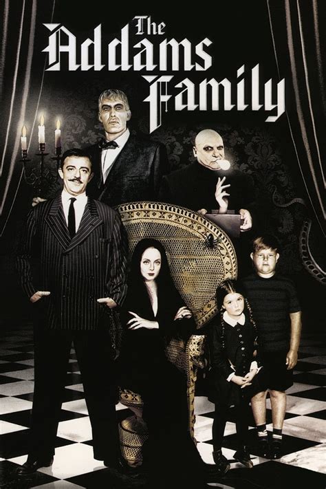 addams family cartoon pics|The Addams Family (TV Series 1964–1966) .